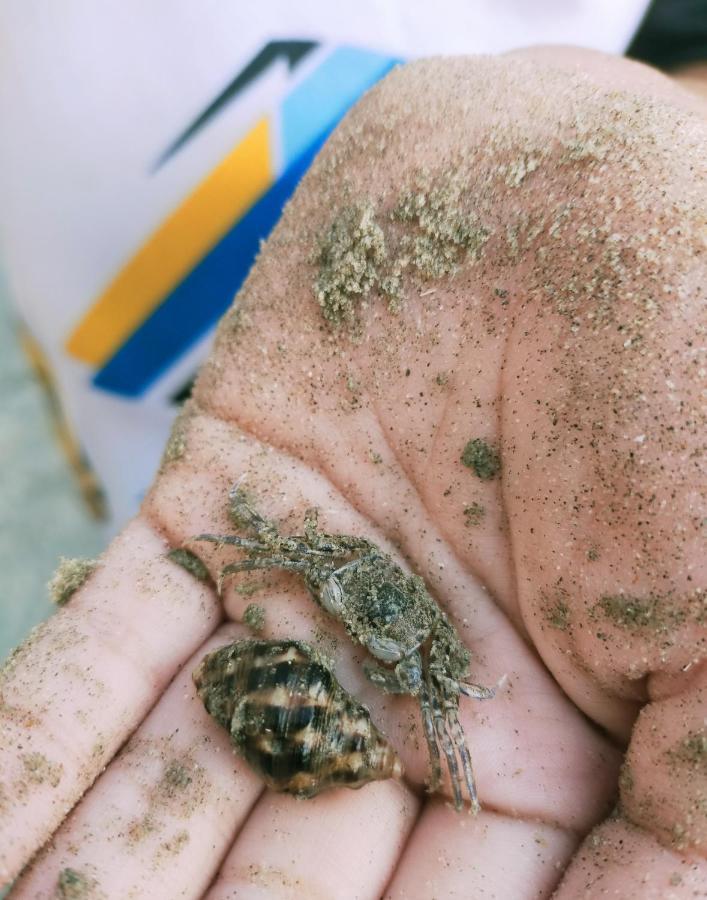 Timur Bay Seafront Residence クアンタン エクステリア 写真